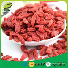 Ningxia Bio getrocknete Goji Beeren